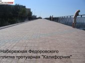Пешеходный мост (4)